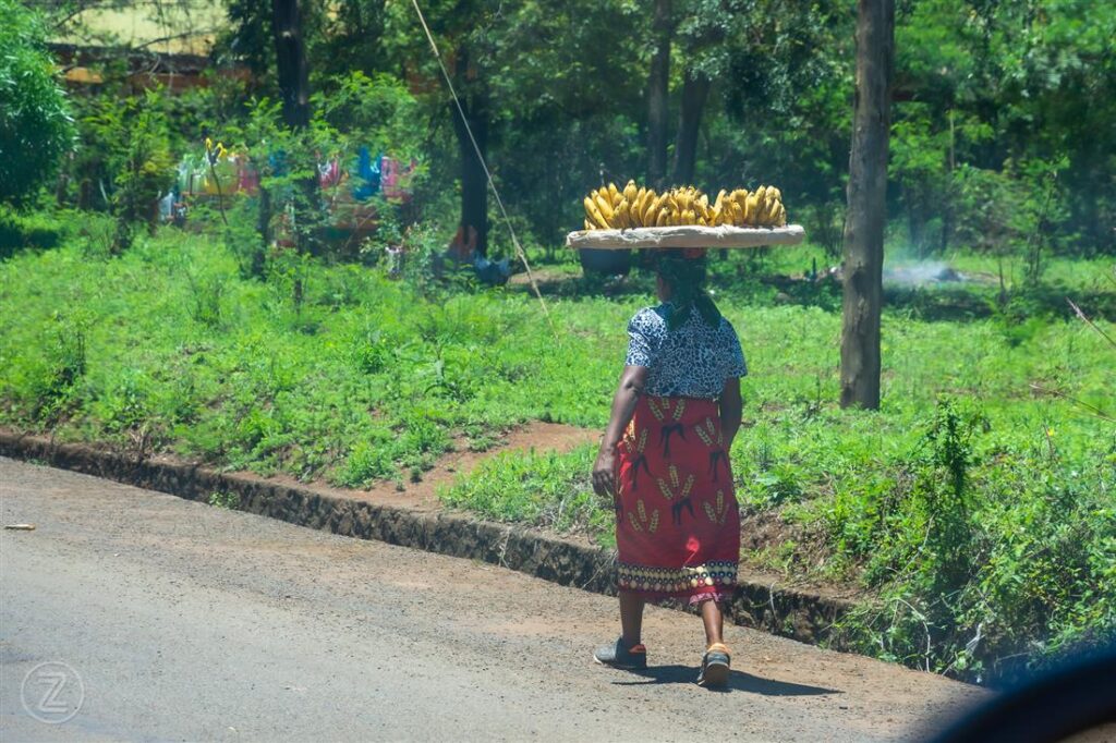 Visiting Kilimanjaro without climbing