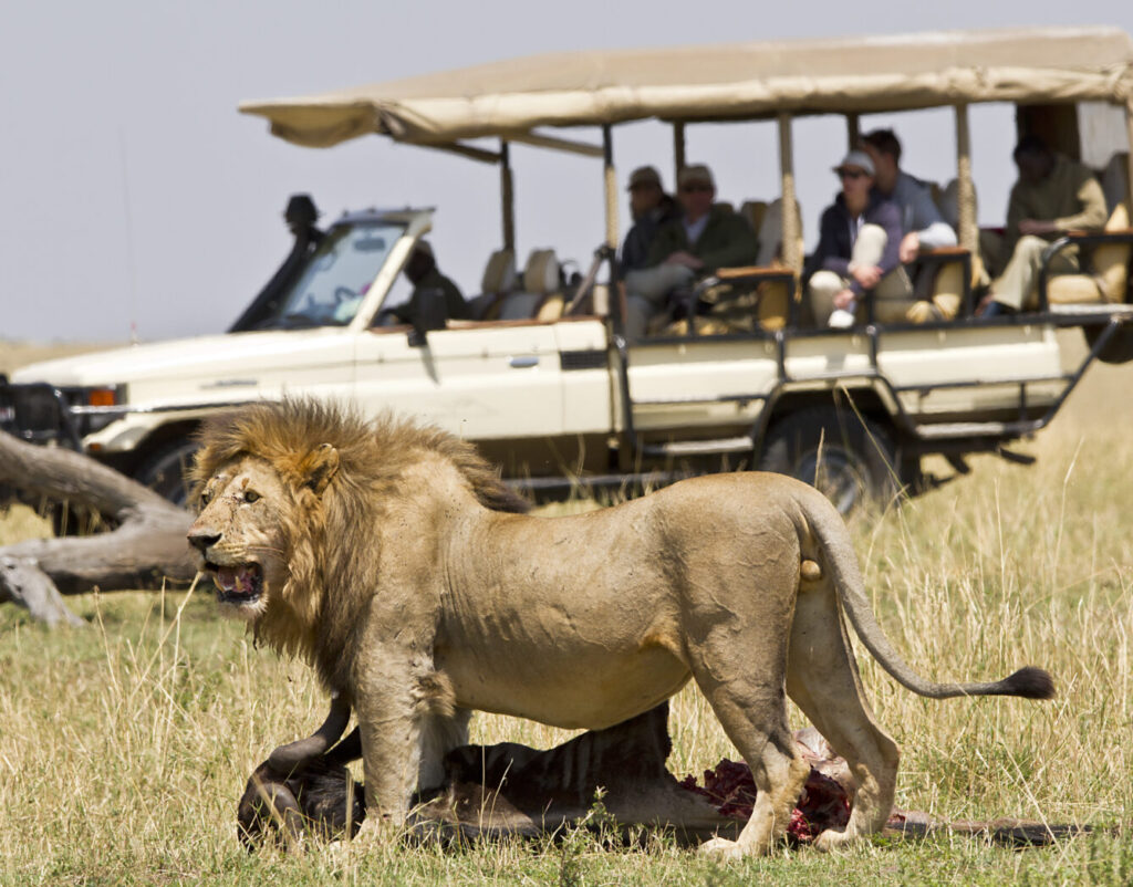 Tanzania luxury safari