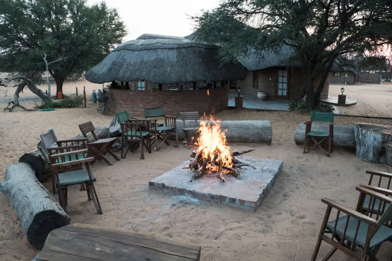 Tanzania Hunting Safari Prices 2024 2025 Packages