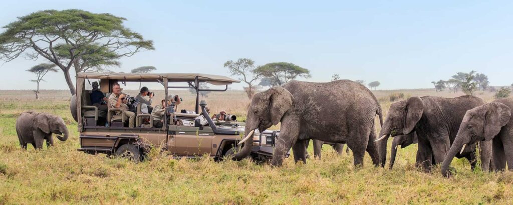 Luxury Tanzania Safari