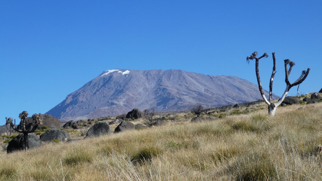 KILIMANJARO MARANGU ROUTE