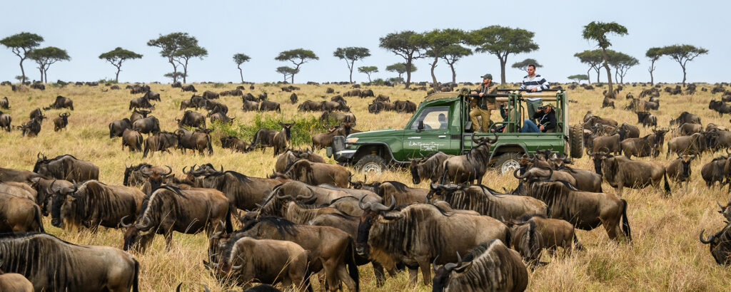 Serengeti Wildebeest Migration Safari