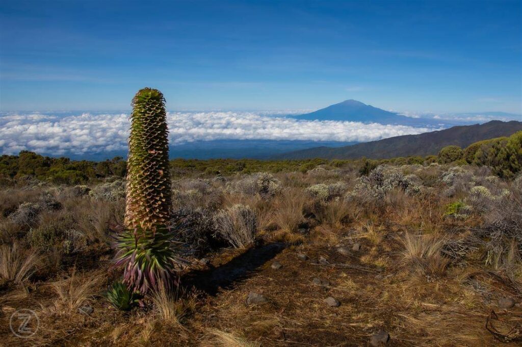 Mount Kilimanjaro routes