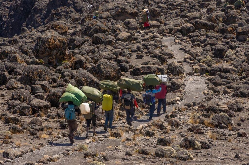 mount kilimanjaro guide