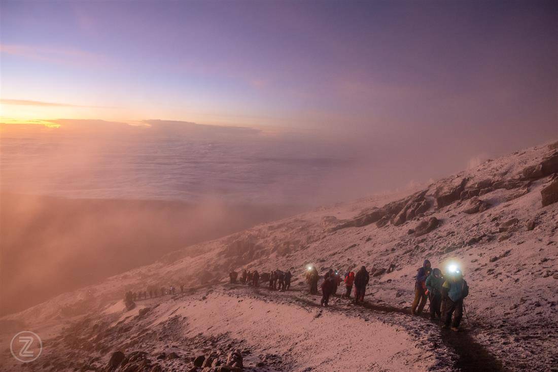 mount kilimanjaro guide