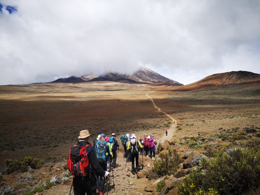 mount kilimanjaro guide