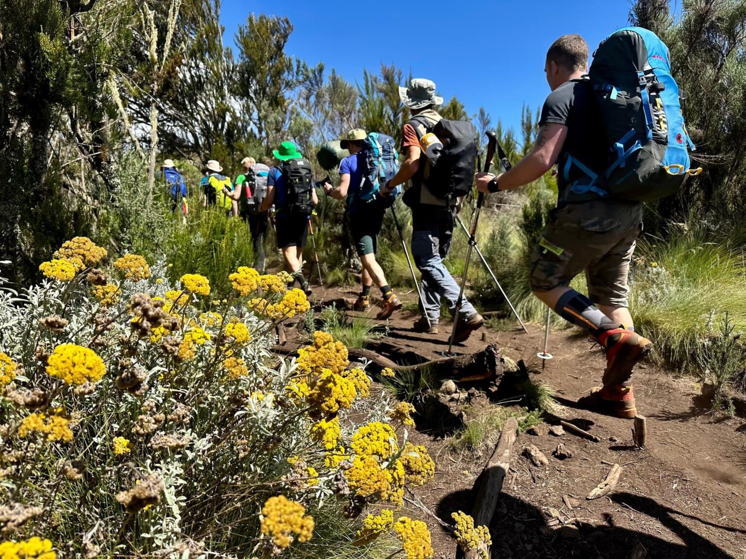 MOUNT KILIMANJARO TRAVEL GUIDE AT WIKIVOYAGE visual data 3