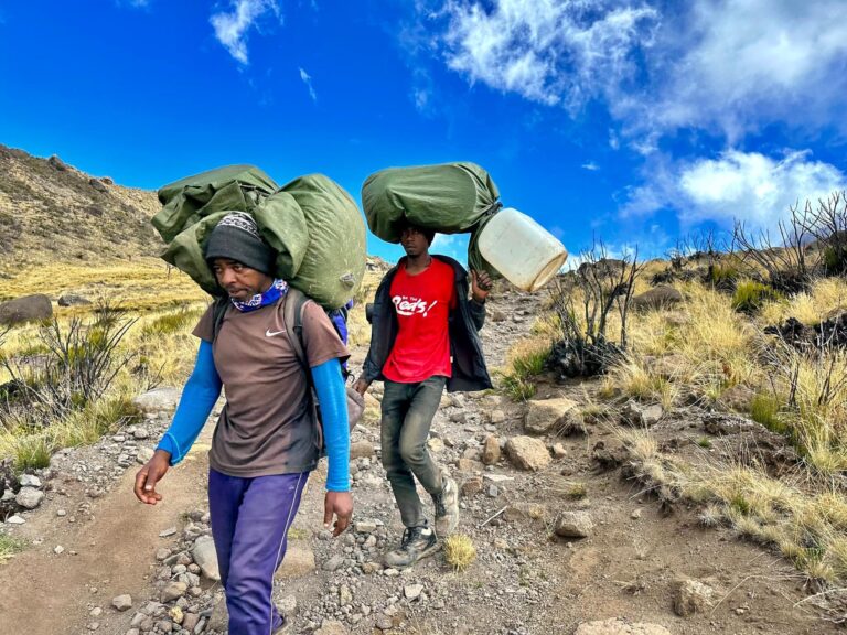 MOUNT KILIMANJARO TRAVEL GUIDE AT WIKIVOYAGE visual data 5