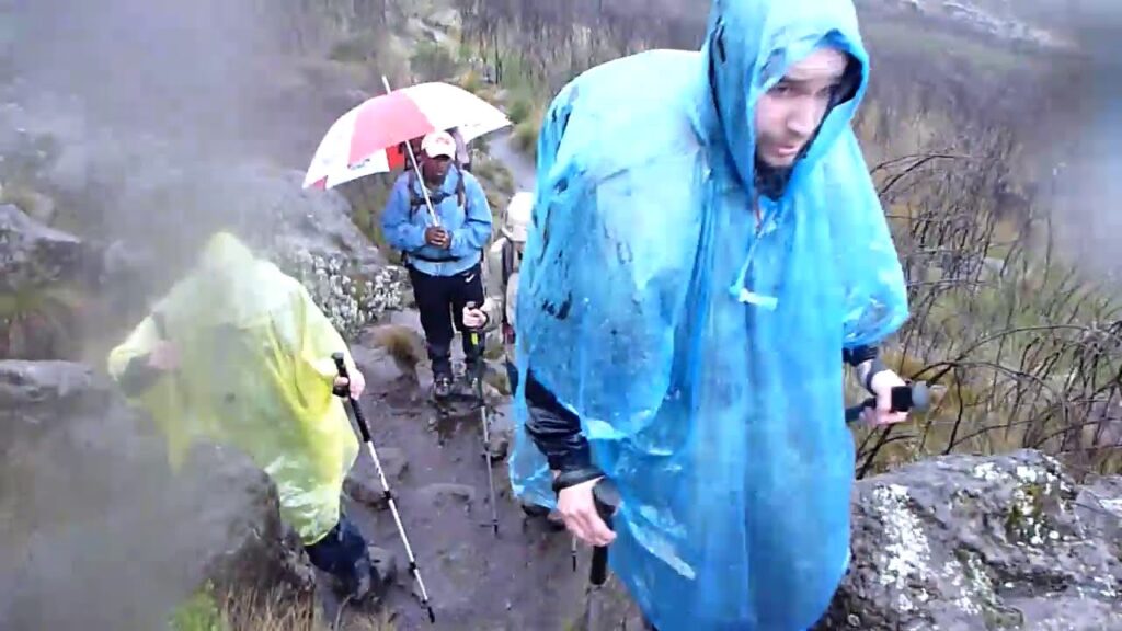 Hikers on the Rongai Route during the Kilimanjaro rainy season