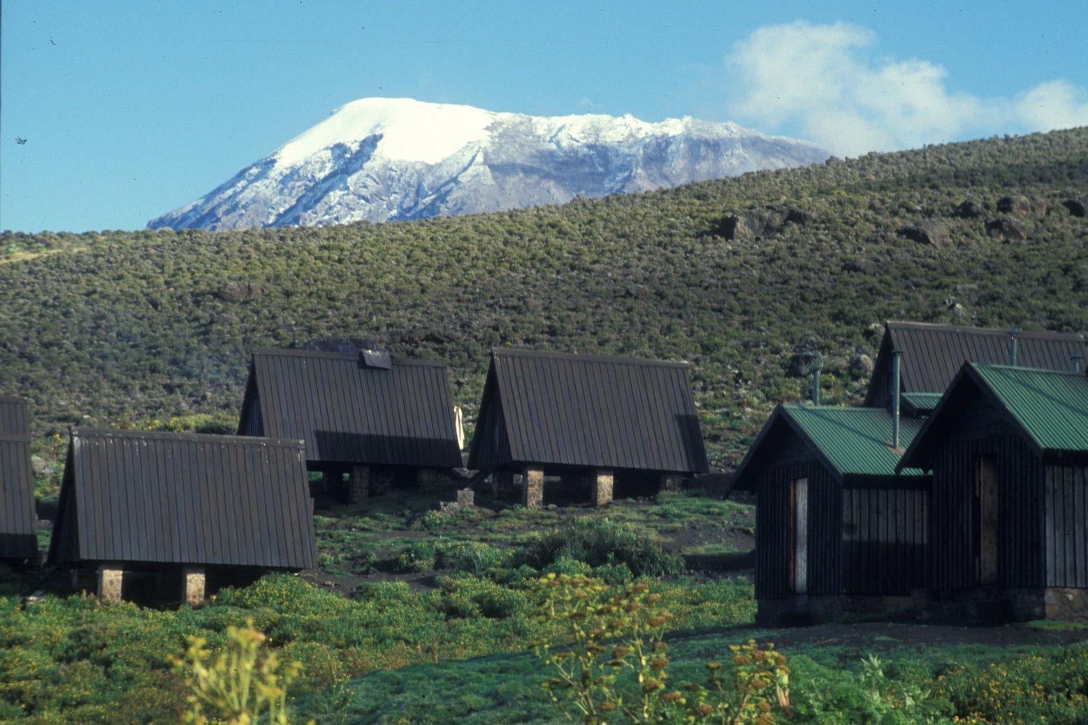 Kilimanjaro Short Trek