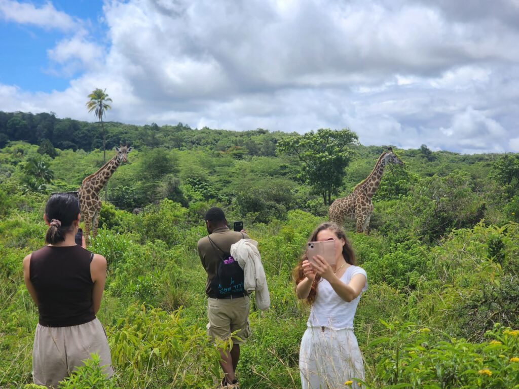 African safari Kilimanjaro